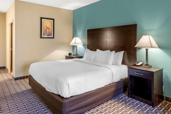 Comfort Suites image 12