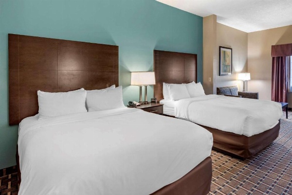 Comfort Suites image 21