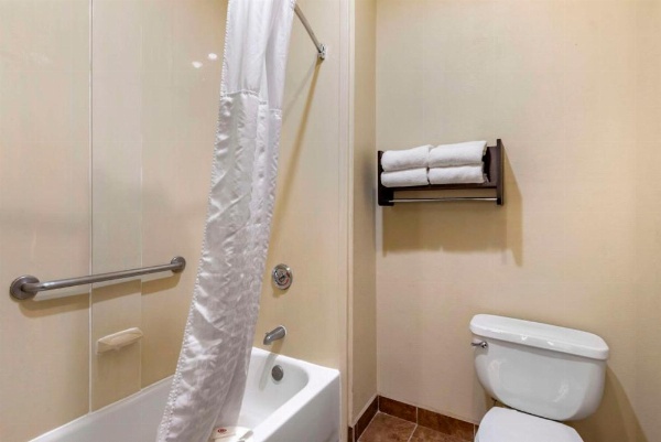 Comfort Suites image 24