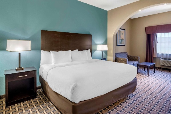 Comfort Suites image 7